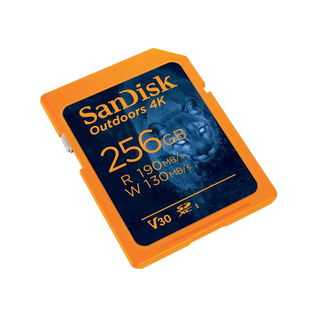 SanDisk Outdoors 4K UHS-I Card 256GB Right- Zoom Image