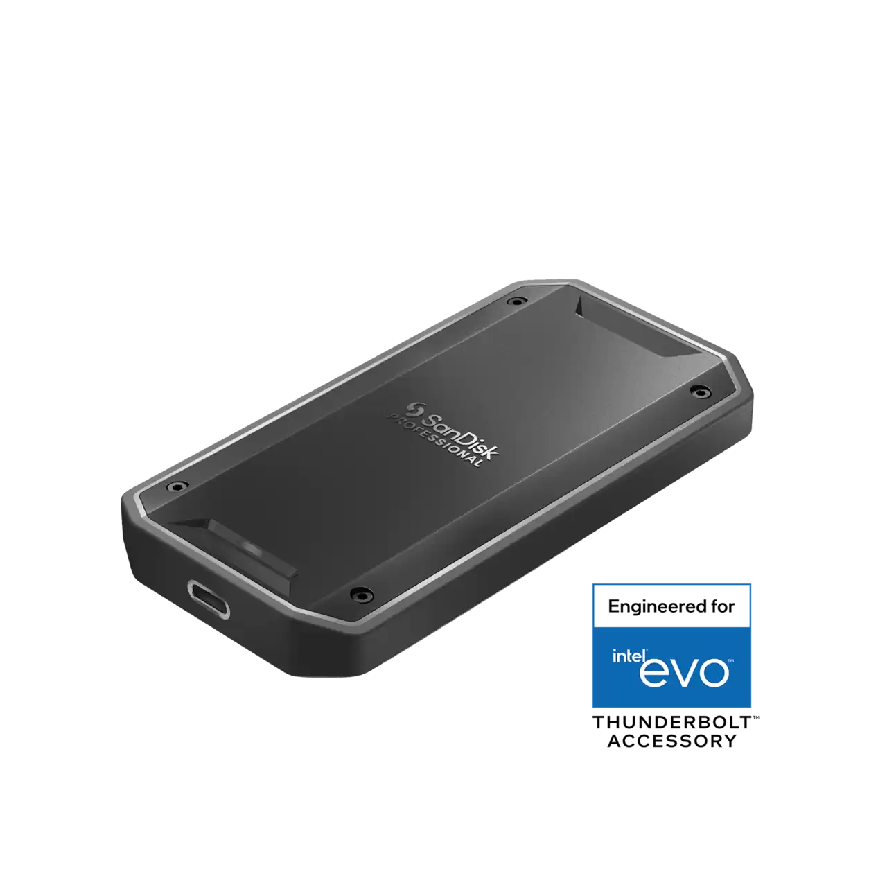 SanDisk Professional PRO-G40 portable SSD storage device- Zoom Image