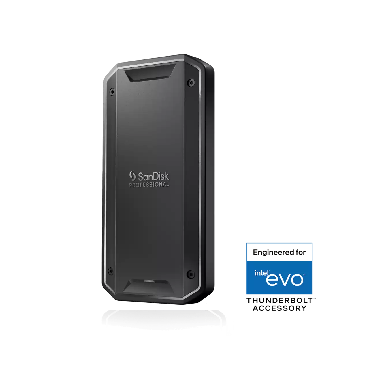 SanDisk Professional PRO-G40 portable SSD storage device- Zoom Image